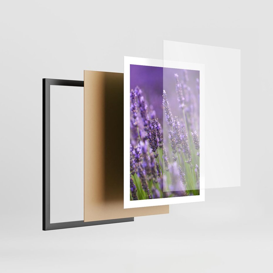 Plakat w ramie 50x70 - Urok lawendy - lawenda, kwiaty - rama czarna