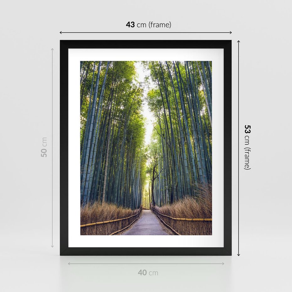 Plakat w ramie 40x50 - Urokliwa dróżka w lesie - las, dróżka - rama czarna