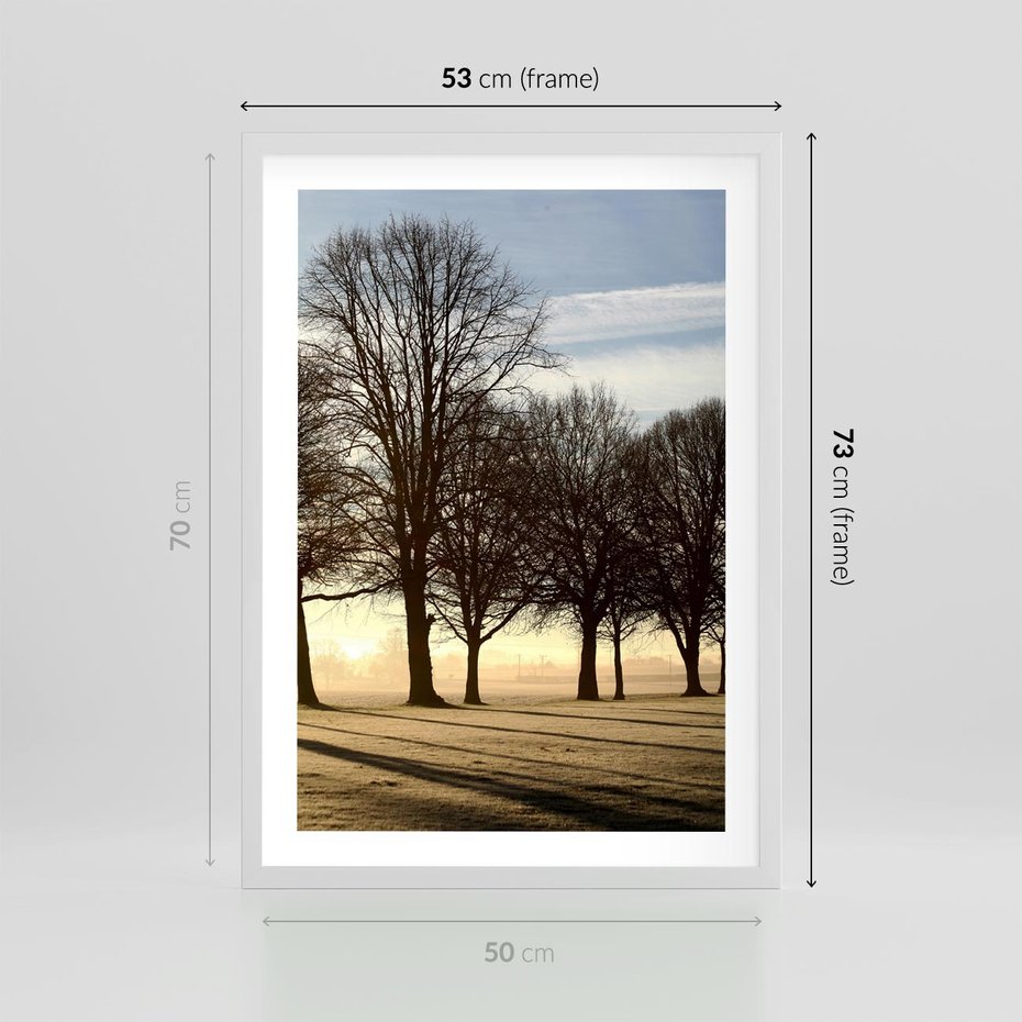 Plakat w ramie 50x70 - Siła natury - drzewa, pole - rama biała