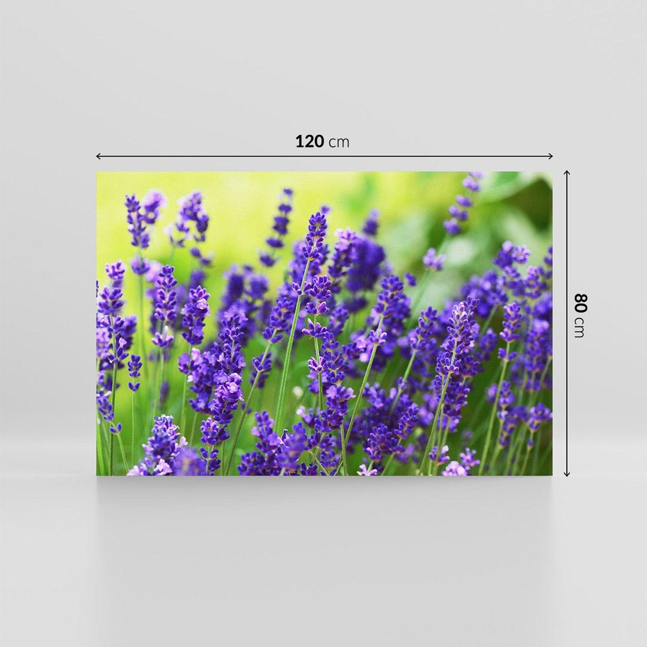Obraz na płótnie 120x80 - Elegancka lawenda w pełnym rozkwicie - lawenda, kwiaty
