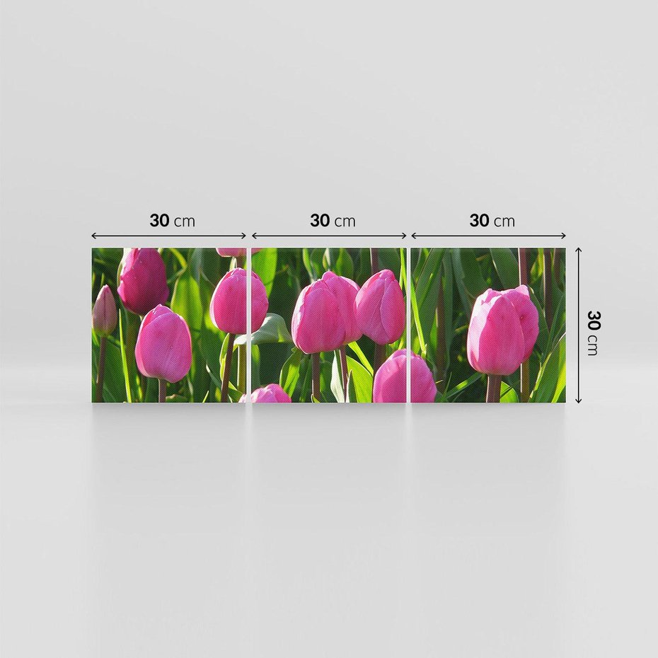 Obraz na płótnie 90x30 - Tulipanowa harmonia - tulipany, kwiaty