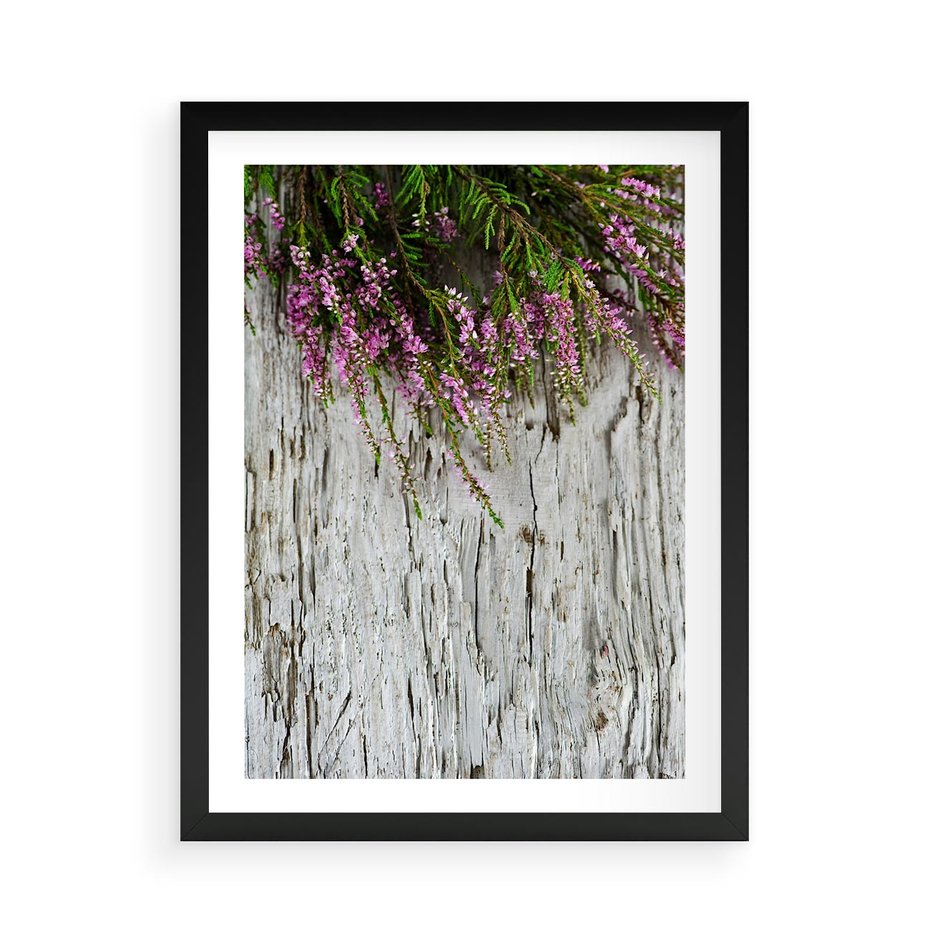 Plakat w ramie 50x70 - Fioletowe Wrzosy - wrzosy, fiolet - rama czarna