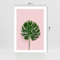 Plakat bez ramy 21x30 - Egzotyczna Roślinność - liście, monstera