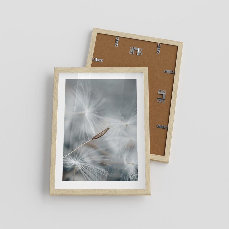 Plakat w ramie 30x40 - Piękno w Delikatności - dmuchawiec, makro zdjęcie - rama drewno