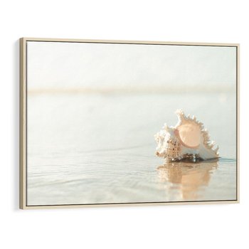 Obraz w ramie 120x80 - Spokój Plaży - fotografia, biała muszla na plaży - rama drewno
