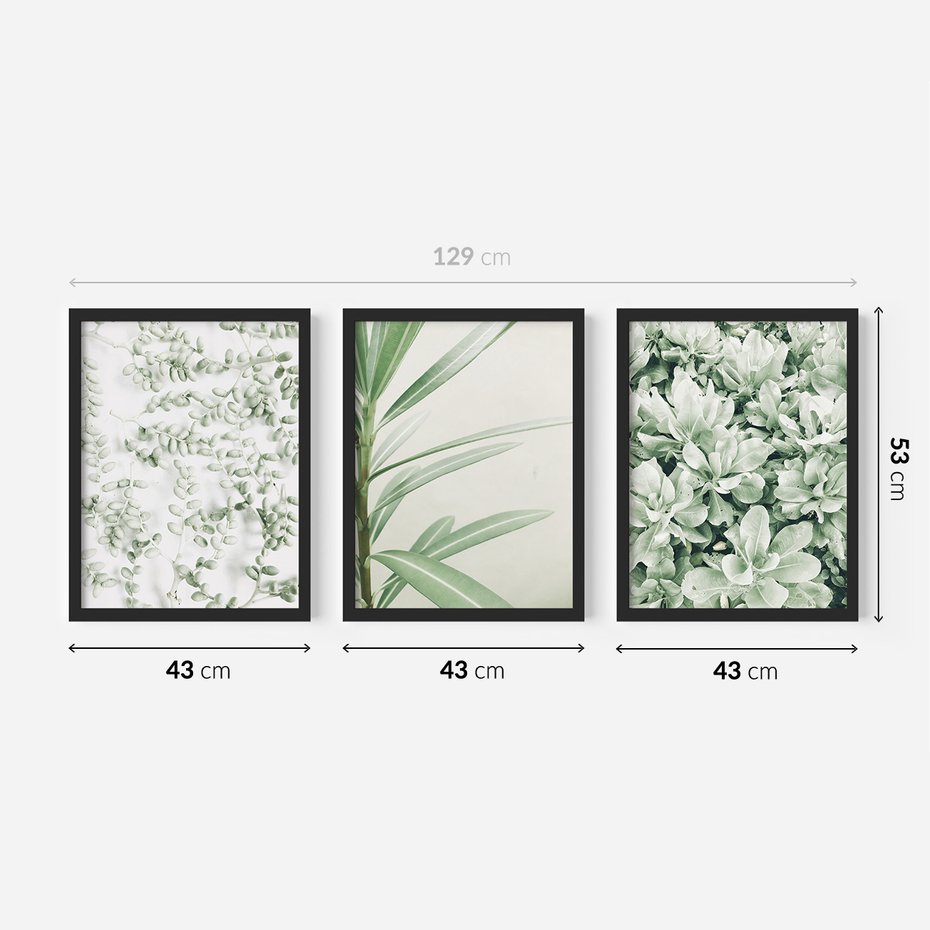 Zestaw obrazy w ramie 40x50 galeria - Liście, zieleń, minimalizm - rama czarna