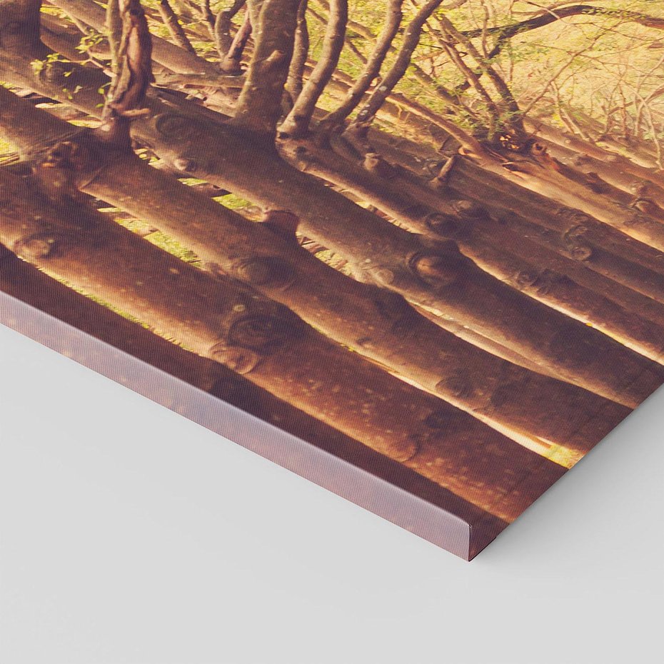 Obraz na płótnie 120x80 - Wędrówka między drzewami - droga, drzewa