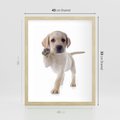 Plakat w ramie 40x50 - Szczeniak pełen radości - piesek, szczeniak - rama drewno