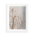 Plakat w ramie 50x70 - Boho gałązki suche - gałązki, suche - rama biała