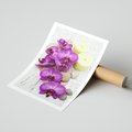 Plakat bez ramy 30x40 - Relaksujące spa w otoczeniu orchidei - spa, świece