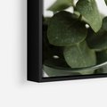 Obraz w ramie 70x100 - Zielone eukaliptusy - eukaliptus, liście - rama czarna
