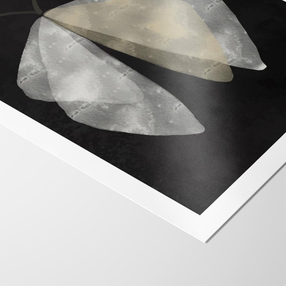 Plakat bez ramy 21x30 - Obce Powidoki - abstrakcyjna ćma, mroczna atmosfera