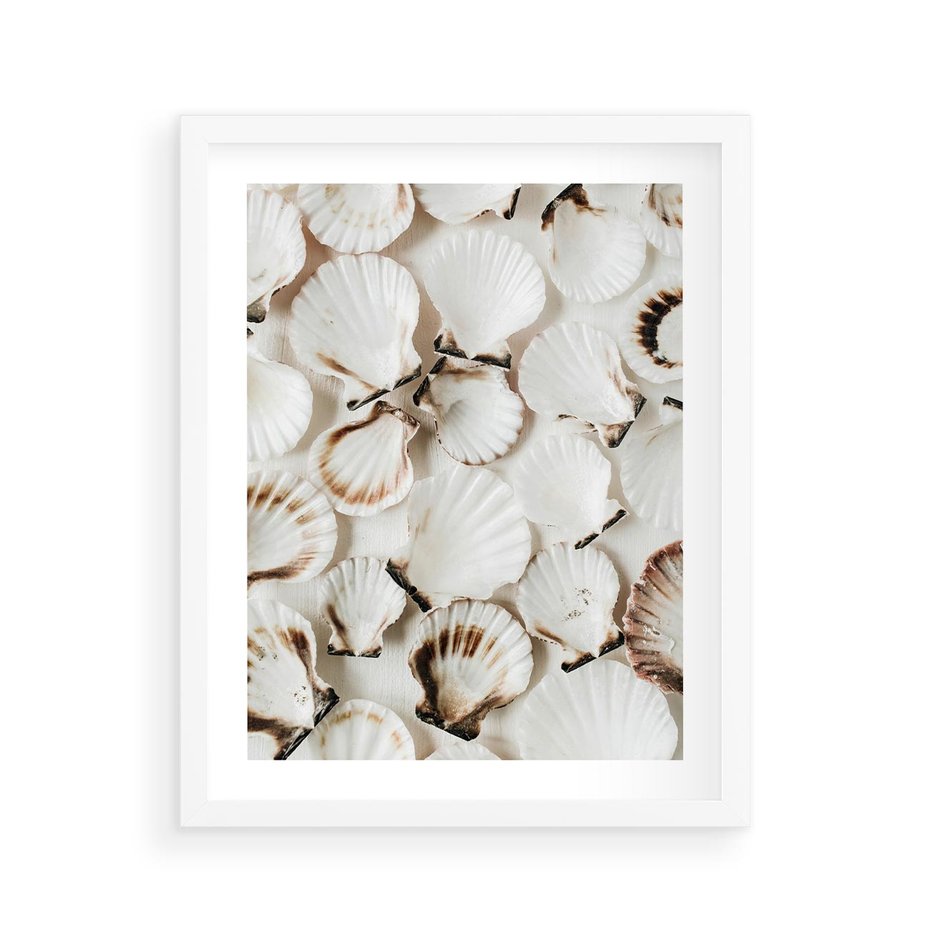 Plakat w ramie 40x50 - Białe Muszle - białe muszle, ujęcie z góry - rama biała