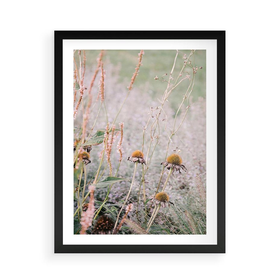 Plakat w ramie 50x70 - Przyroda w Pełnym Blasku: Kolorowa łąka z Kwiatami - łąka, kwiaty na łące - rama czarna