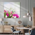 Obraz na płótnie 80x80 - Tulipany w pełnym rozkwicie - tulipany, kwiaty
