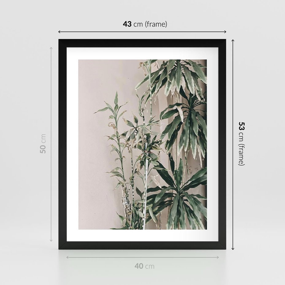 Plakat w ramie 40x50 - Egzotyczna Kompozycja - liście, rośliny tropikalne na tle ściany - rama czarna