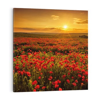 Obraz na płótnie 60x60 - Makowe uczucia - maki, kwiaty