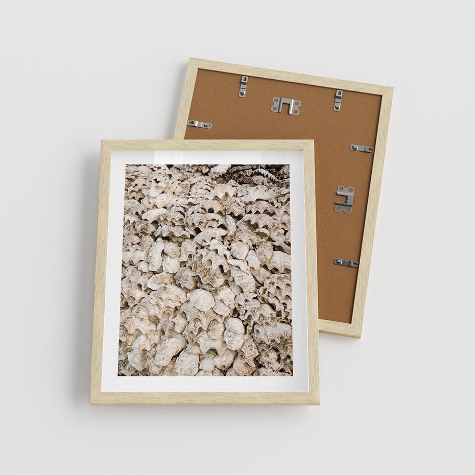 Plakat w ramie 40x50 - Symfonia Natury - kompozycja z białych muszli - rama drewno