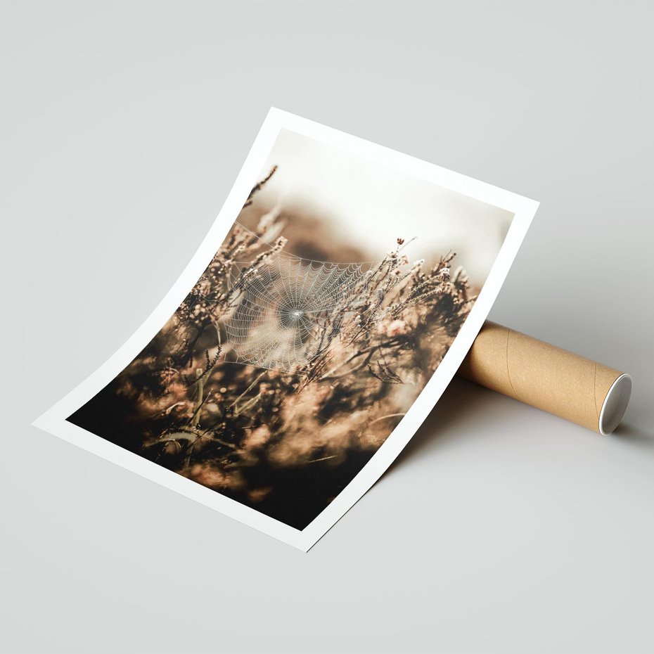 Plakat bez ramy 21x30 - Jesienny Mikrokosmos - suchetrawy, jesienny klimat