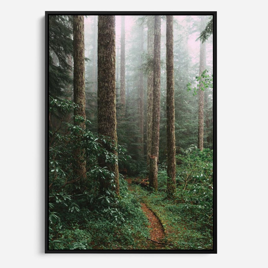 Obraz w ramie 70x100 - Mgliste Marzenia - artystyczna fotografia, las - rama czarna