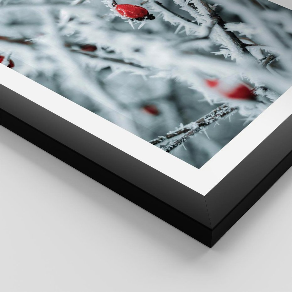 Plakat w ramie 50x70 - Zima na Gałęziach - zima, oszronione gałęzie - rama czarna