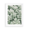 Plakat w ramie 50x70 - Liście w Jasnych Odcieniach Zielonego - liście, jasna zieleń fotografia - rama biała