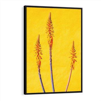 Obraz w ramie 50x70 - Radość Natury - kolor, kwiaty - rama czarna