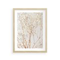Plakat w ramie 30x40 - Minimalistyczna Delikatność - białe kwiaty, gipsówka - rama drewno