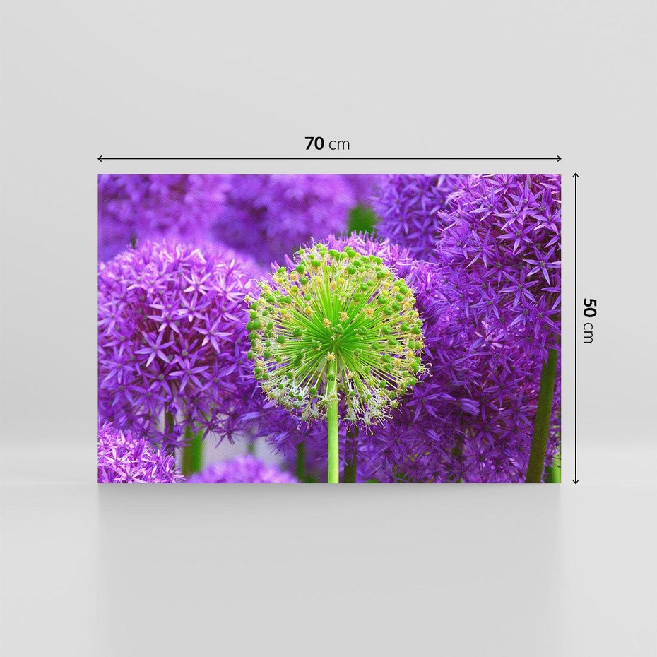 Obraz na płótnie 70x50 - Kwiatowy Raj - kwiat, kwiaty