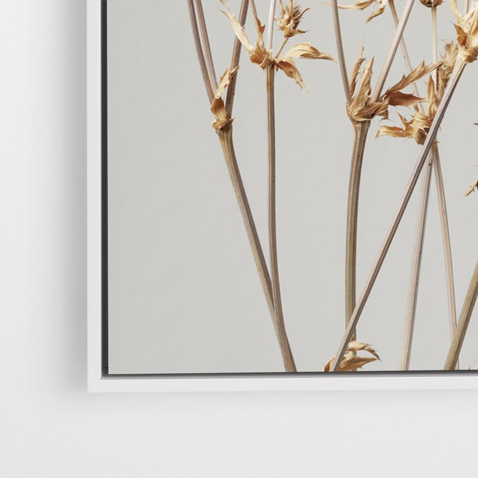 Obraz w ramie 70x100 - Delikatne gipsówki - gipsówka, suche - rama biała