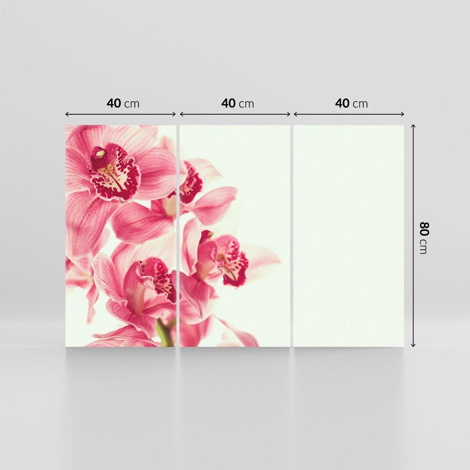 Obraz na płótnie 120x80 - Orchidea - delikatne kwiaty - orchidea, kwiaty