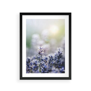 Plakat w ramie 30x40 - Delikatna Uroda Natury - wrzosy, fiolet - rama czarna