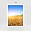 Plakat bez ramy 30x40 - Żyzne Pola - pole, pszenicy
