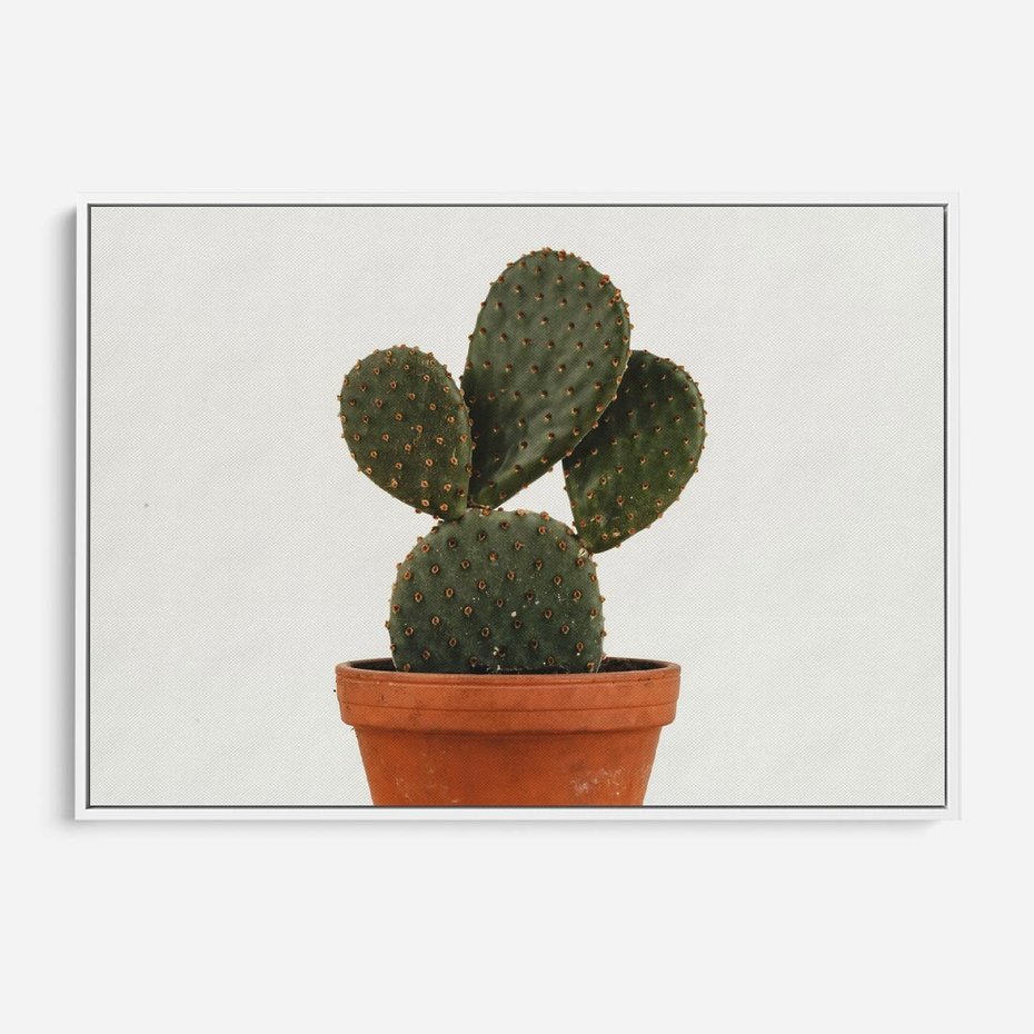 Obraz w ramie 70x50 - Kwiatowy taniec kaktusa - kaktus, kwiat - rama biała