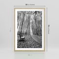 Plakat w ramie 50x70 - Spadające Liście - czarno białe zdjecie, park - rama drewno
