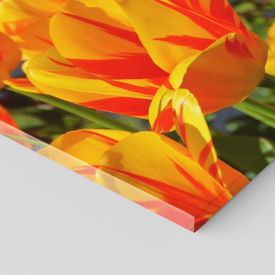 Obraz na płótnie 100x70 - Kwiatowa Harmonia - kwiaty, kwiat