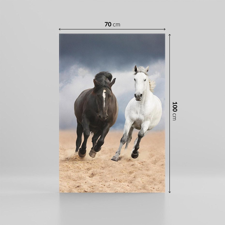 Obraz na płótnie 70x100 - Siła koni w galopie - konie, galop