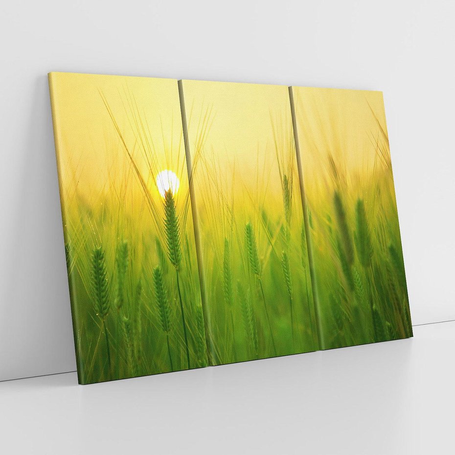 Obraz na płótnie 120x80 - Zboże w kłosach: Oda do plonów natury - zboże, kłos