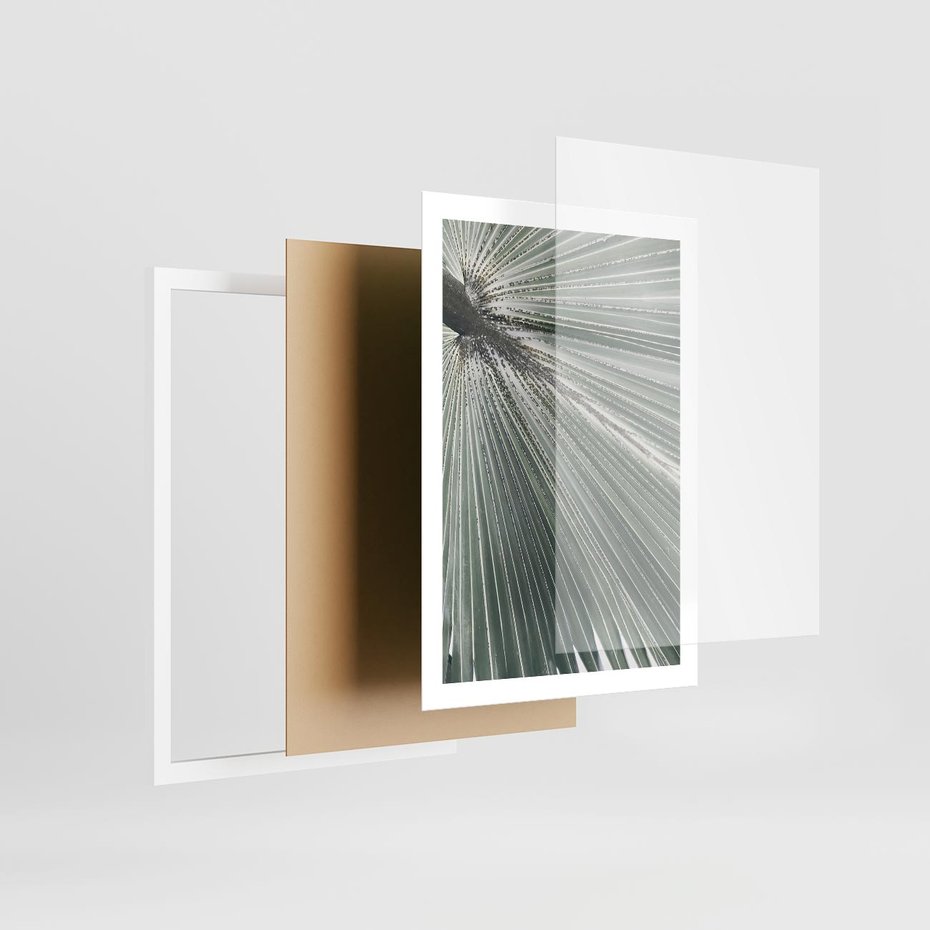 Plakat w ramie 50x70 - Jasnozielony Świat - palma, liść - rama biała