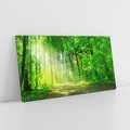 Obraz na płótnie 140x70 - Urok lasu na drodze - las, drzewa