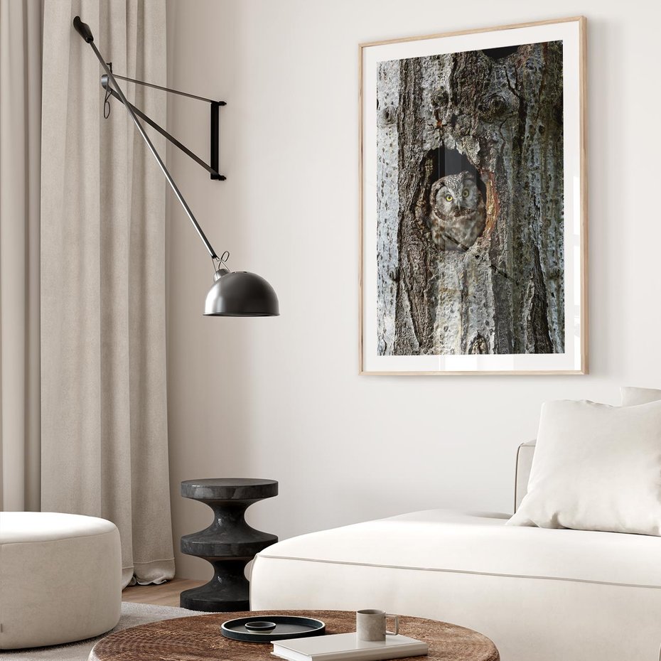 Plakat w ramie 30x40 - Tajemniczy W świecie Nocy - sowa, dziupla - rama drewno