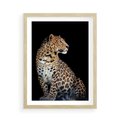 Plakat w ramie 50x70 - Elegancja Jaguarowej Pantery - jaguar, pantera - rama drewno