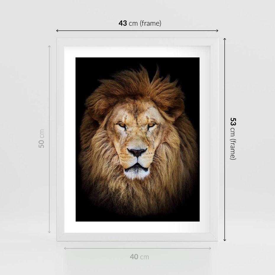 Plakat w ramie 40x50 - Król zwierząt w majestatycznym stylu - lew, król - rama biała
