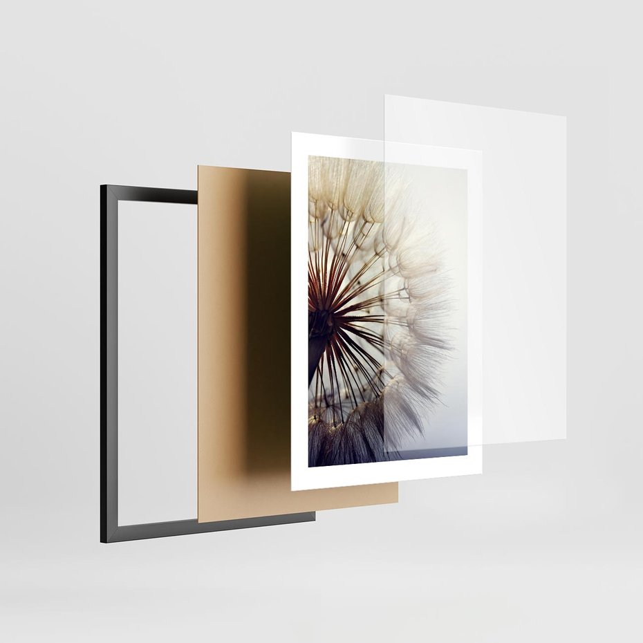 Plakat w ramie 30x40 - Makro piękno dmuchawca - makro, dmuchawiec - rama czarna