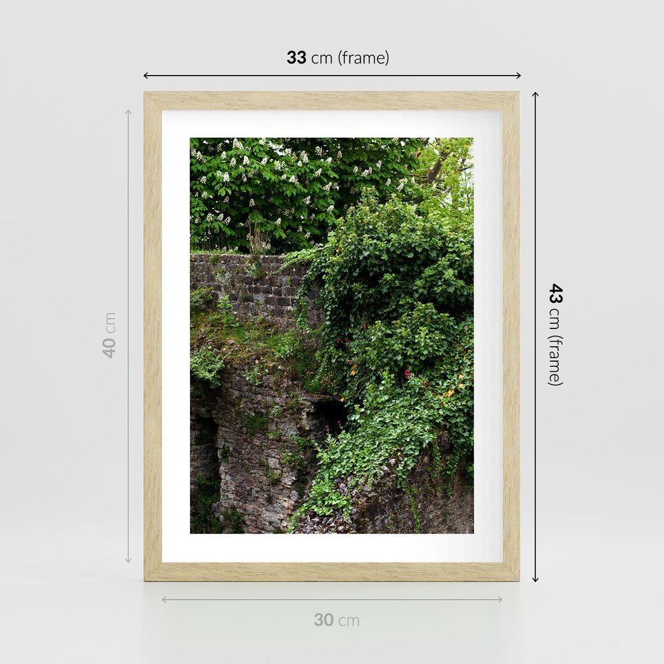 Plakat w ramie 30x40 - Żywiołowa Zieleń - mur, liście - rama drewno