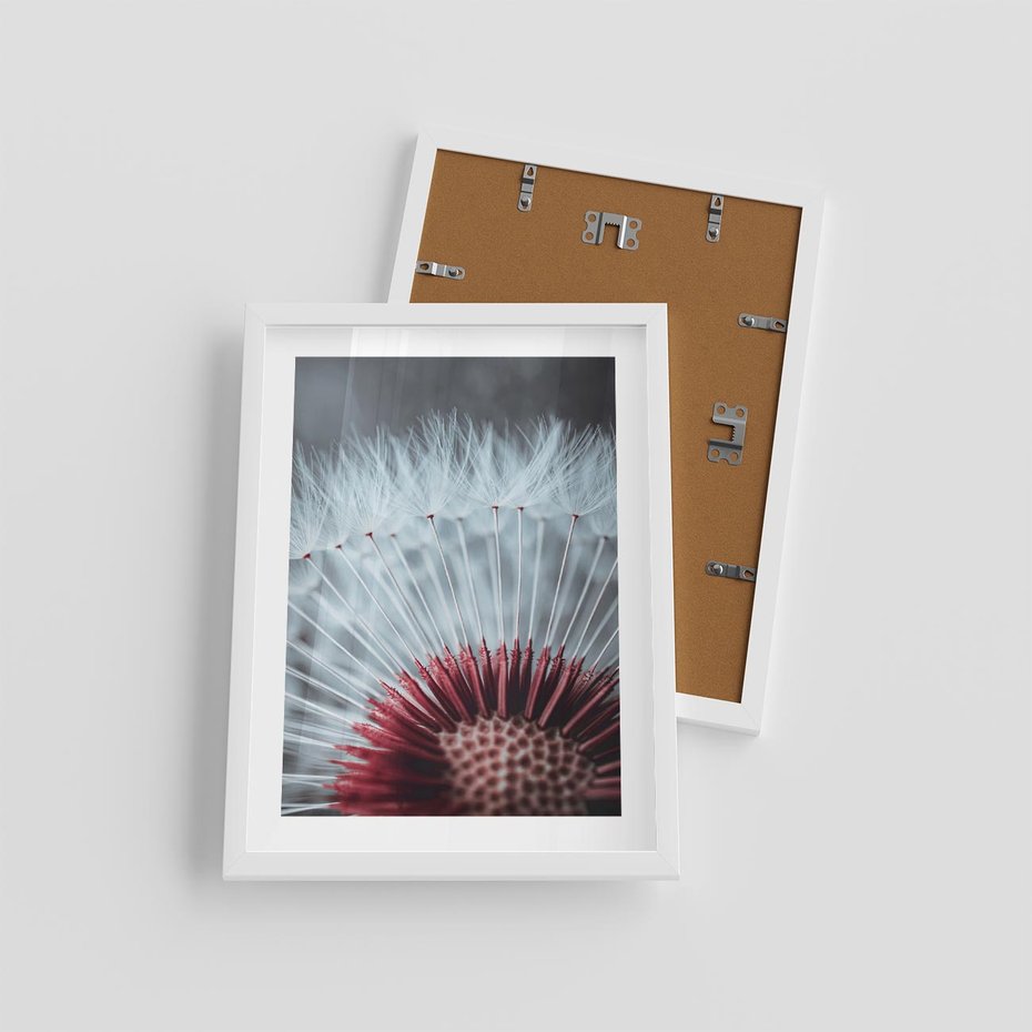 Plakat w ramie 30x40 - Dmuchawiec w Detalu - dmuchawiec, zdjęcie makro - rama biała