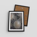 Plakat w ramie 30x40 - Ulotna Piękność Natury - makro, dmuchawce - rama czarna