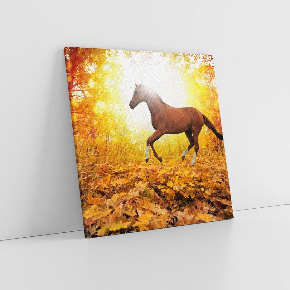 Obraz na płótnie 60x60 - Moc konia w zachodzie słońca - koń, słońce