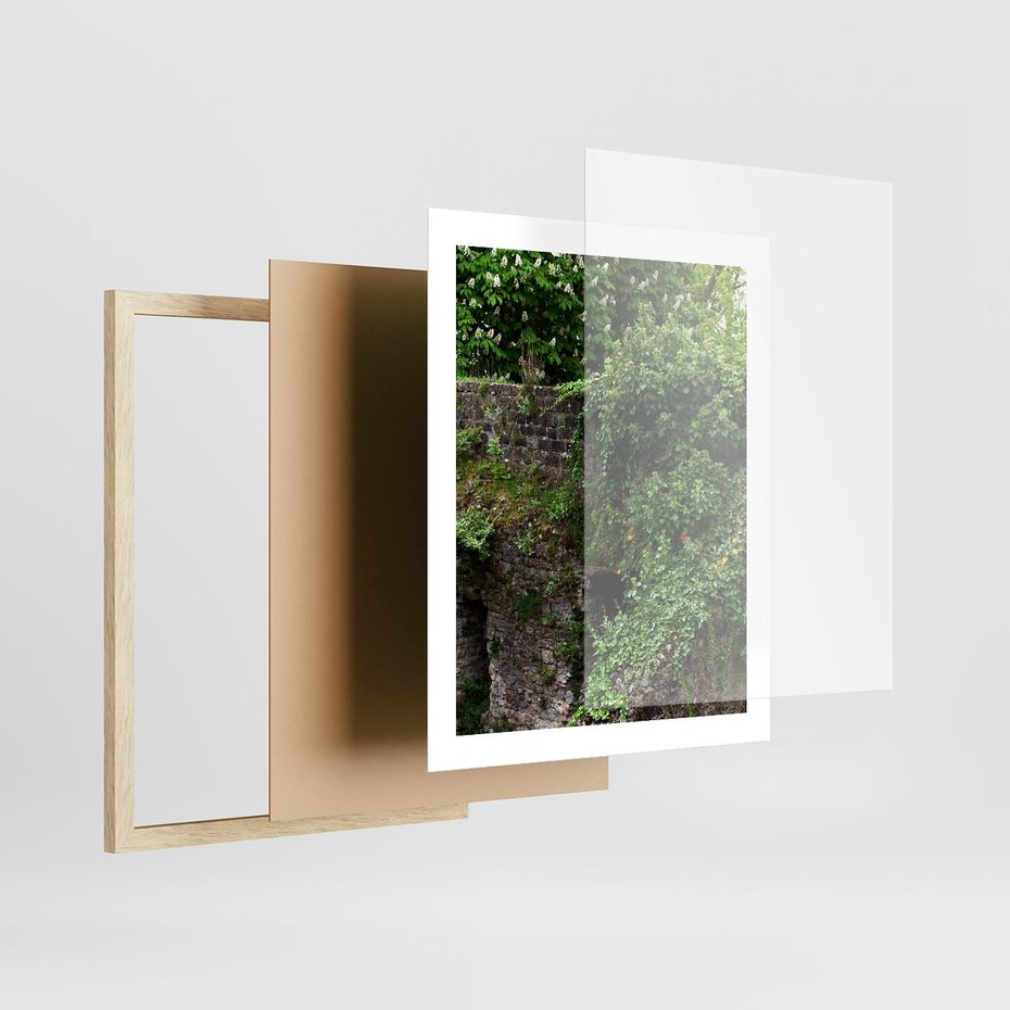 Plakat w ramie 40x50 - Żywiołowa Zieleń - mur, liście - rama drewno