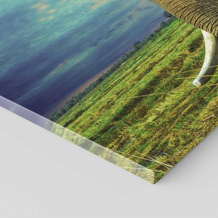 Obraz na płótnie 120x60 - Słoń w sawannie: Spotkanie z dziką przyrodą - słoń, sawanna